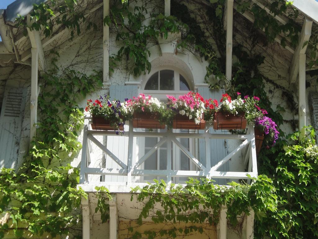 Hotel Le Chalet Fleuri Saint-Rémy-de-Provence Eksteriør bilde